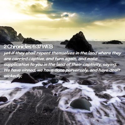 Picture 02 - 2 Chronicles 6:37 WEB - yet if they shall repent themselves in the land - Bible Verse Picture
