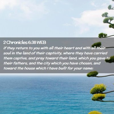 Picture 02 - 2 Chronicles 6:38 WEB - if they return to you with all their heart and - Bible Verse Picture