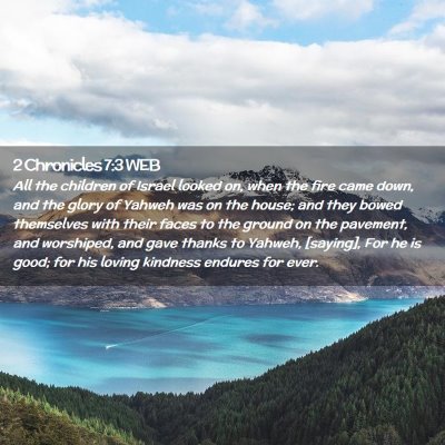 Picture 02 - 2 Chronicles 7:3 WEB - All the children of Israel looked on, when the - Bible Verse Picture