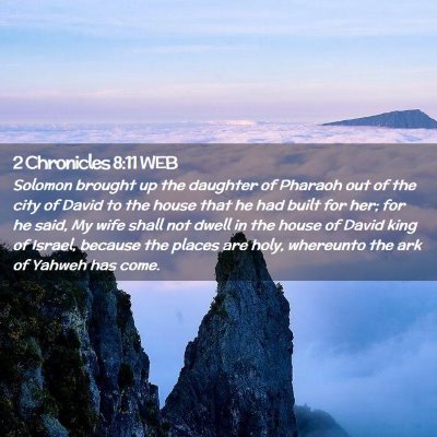 Picture 02 - 2 Chronicles 8:11 WEB - Solomon brought up the daughter of Pharaoh out of - Bible Verse Picture