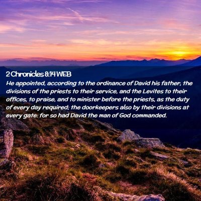 Picture 02 - 2 Chronicles 8:14 WEB - He appointed, according to the ordinance of David - Bible Verse Picture