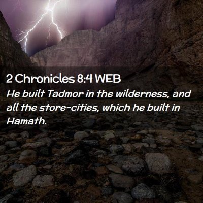 Picture 02 - 2 Chronicles 8:4 WEB - He built Tadmor in the wilderness, and all the - Bible Verse Picture
