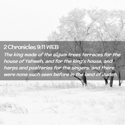 Picture 02 - 2 Chronicles 9:11 WEB - The king made of the algum trees terraces for the - Bible Verse Picture