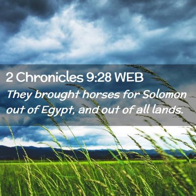 Picture 02 - 2 Chronicles 9:28 WEB - They brought horses for Solomon out of Egypt, and - Bible Verse Picture