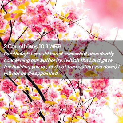 Picture 02 - 2 Corinthians 10:8 WEB - For though I should boast somewhat abundantly - Bible Verse Picture