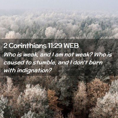 Picture 02 - 2 Corinthians 11:29 WEB - Who is weak, and I am not weak? Who is caused to - Bible Verse Picture