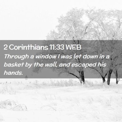 Picture 02 - 2 Corinthians 11:33 WEB - Through a window I was let down in a basket by - Bible Verse Picture
