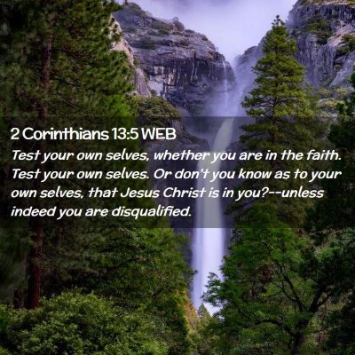 Picture 02 - 2 Corinthians 13:5 WEB - Test your own selves, whether you are in the - Bible Verse Picture