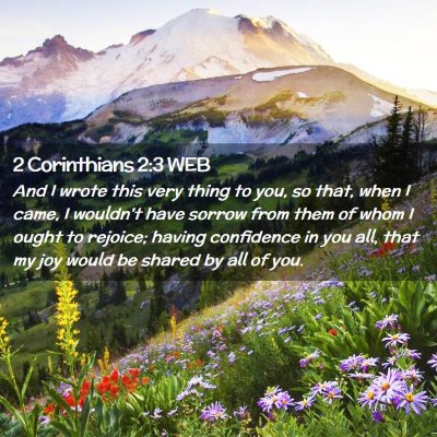 Picture 02 - 2 Corinthians 2:3 WEB - And I wrote this very thing to you, so that, when - Bible Verse Picture