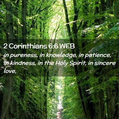 Picture 02 - 2 Corinthians 6:6 WEB - in pureness, in knowledge, in patience, in - Bible Verse Picture