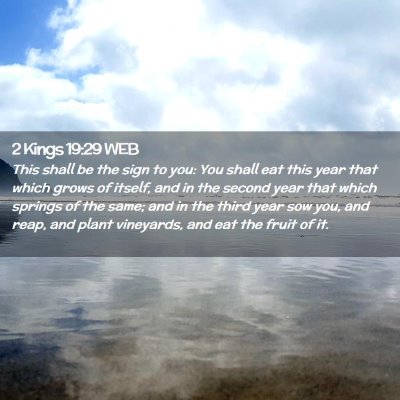Picture 02 - 2 Kings 19:29 WEB - This shall be the sign to you: You shall eat this - Bible Verse Picture