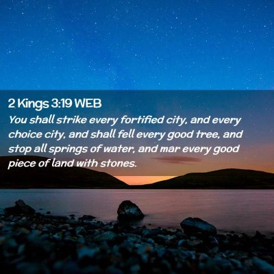 Picture 02 - 2 Kings 3:19 WEB - You shall strike every fortified city, and every - Bible Verse Picture