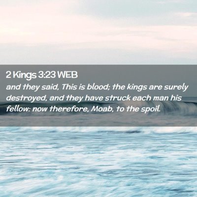 Picture 02 - 2 Kings 3:23 WEB - and they said, This is blood; the kings are - Bible Verse Picture