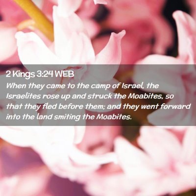 Picture 02 - 2 Kings 3:24 WEB - When they came to the camp of Israel, the - Bible Verse Picture