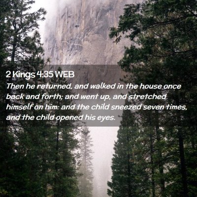 Picture 02 - 2 Kings 4:35 WEB - Then he returned, and walked in the house once - Bible Verse Picture
