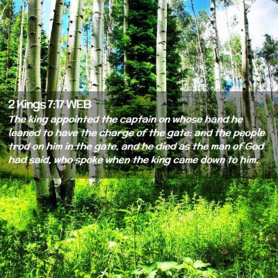 Picture 02 - 2 Kings 7:17 WEB - The king appointed the captain on whose hand he - Bible Verse Picture