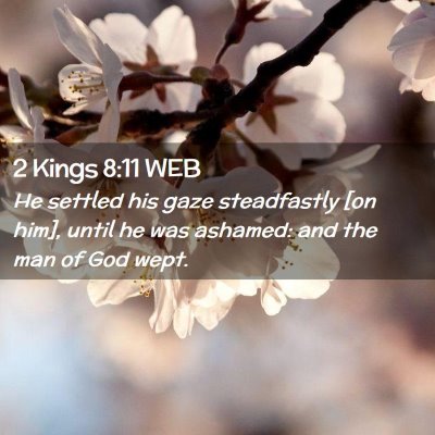 Picture 02 - 2 Kings 8:11 WEB - He settled his gaze steadfastly [on him], until - Bible Verse Picture