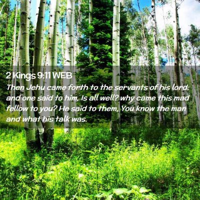 Picture 02 - 2 Kings 9:11 WEB - Then Jehu came forth to the servants of his lord: - Bible Verse Picture