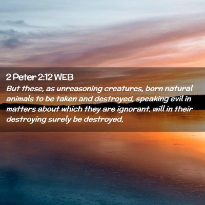 Picture 02 - 2 Peter 2:12 WEB - But these, as unreasoning creatures, born natural - Bible Verse Picture