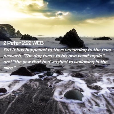 Picture 02 - 2 Peter 2:22 WEB - But it has happened to them according to the true - Bible Verse Picture