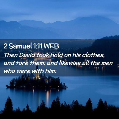 Picture 02 - 2 Samuel 1:11 WEB - Then David took hold on his clothes, and tore - Bible Verse Picture