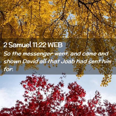 Picture 02 - 2 Samuel 11:22 WEB - So the messenger went, and came and shown David - Bible Verse Picture