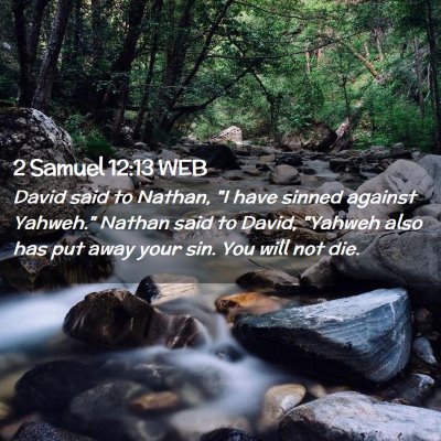 Picture 02 - 2 Samuel 12:13 WEB - David said to Nathan, 