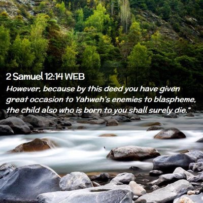 Picture 02 - 2 Samuel 12:14 WEB - However, because by this deed you have given - Bible Verse Picture