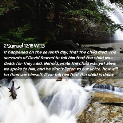 Picture 02 - 2 Samuel 12:18 WEB - It happened on the seventh day, that the child - Bible Verse Picture