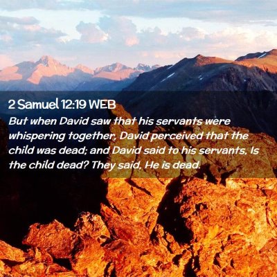 Picture 02 - 2 Samuel 12:19 WEB - But when David saw that his servants were - Bible Verse Picture