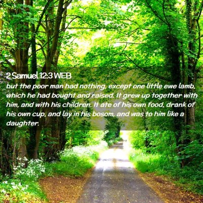 Picture 02 - 2 Samuel 12:3 WEB - but the poor man had nothing, except one little - Bible Verse Picture
