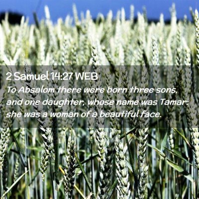 Picture 02 - 2 Samuel 14:27 WEB - To Absalom there were born three sons, and one - Bible Verse Picture