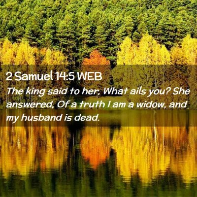 Picture 02 - 2 Samuel 14:5 WEB - The king said to her, What ails you? She - Bible Verse Picture