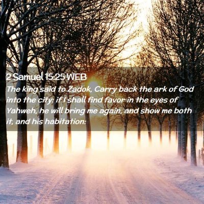 Picture 02 - 2 Samuel 15:25 WEB - The king said to Zadok, Carry back the ark of God - Bible Verse Picture