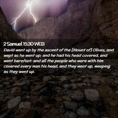 Picture 02 - 2 Samuel 15:30 WEB - David went up by the ascent of the [Mount of] - Bible Verse Picture