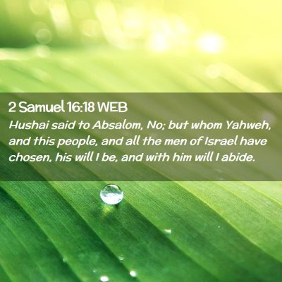 Picture 02 - 2 Samuel 16:18 WEB - Hushai said to Absalom, No; but whom Yahweh, and - Bible Verse Picture
