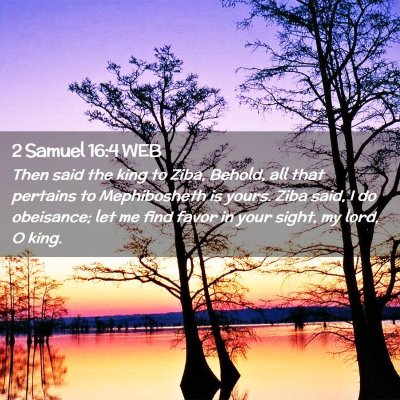 Picture 02 - 2 Samuel 16:4 WEB - Then said the king to Ziba, Behold, all that - Bible Verse Picture