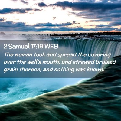 Picture 02 - 2 Samuel 17:19 WEB - The woman took and spread the covering over the - Bible Verse Picture