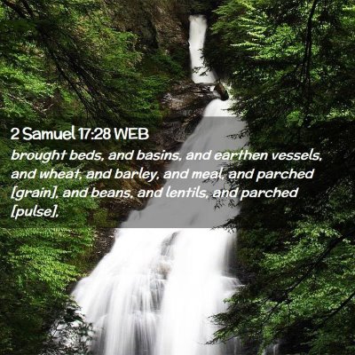 Picture 02 - 2 Samuel 17:28 WEB - brought beds, and basins, and earthen vessels, - Bible Verse Picture