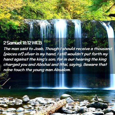 Picture 02 - 2 Samuel 18:12 WEB - The man said to Joab, Though I should receive a - Bible Verse Picture