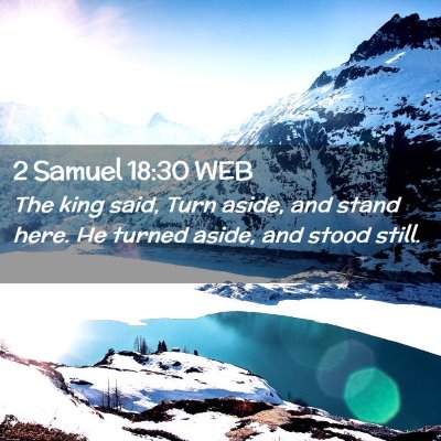 Picture 02 - 2 Samuel 18:30 WEB - The king said, Turn aside, and stand here. He - Bible Verse Picture