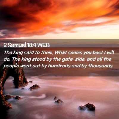 Picture 02 - 2 Samuel 18:4 WEB - The king said to them, What seems you best I will - Bible Verse Picture