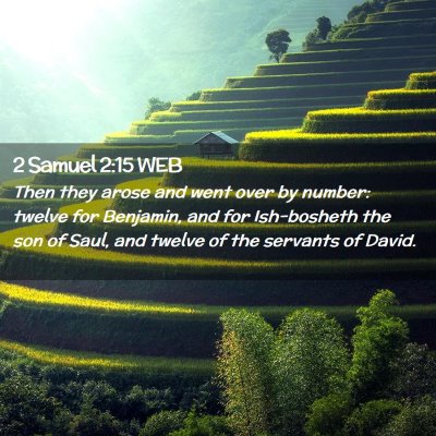 Picture 02 - 2 Samuel 2:15 WEB - Then they arose and went over by number: twelve - Bible Verse Picture