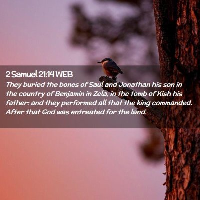 Picture 02 - 2 Samuel 21:14 WEB - They buried the bones of Saul and Jonathan his - Bible Verse Picture