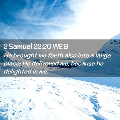 Picture 02 - 2 Samuel 22:20 WEB - He brought me forth also into a large place; He - Bible Verse Picture