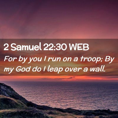 Picture 02 - 2 Samuel 22:30 WEB - For by you I run on a troop; By my God do I leap - Bible Verse Picture