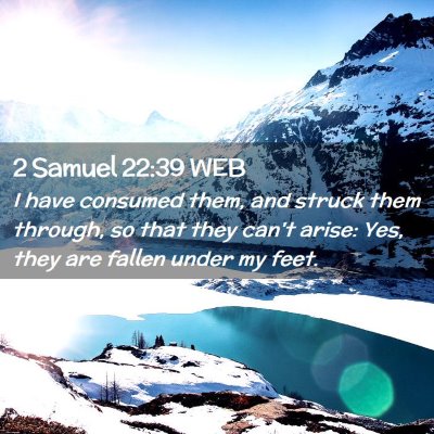 Picture 02 - 2 Samuel 22:39 WEB - I have consumed them, and struck them through, so - Bible Verse Picture