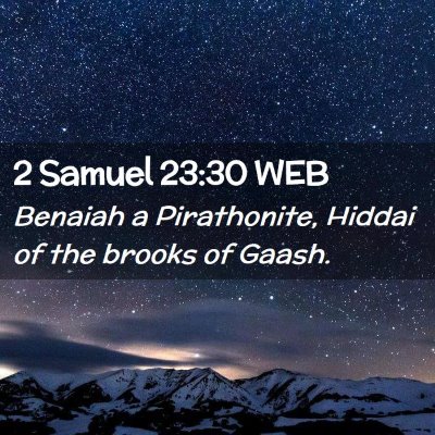 Picture 02 - 2 Samuel 23:30 WEB - Benaiah a Pirathonite, Hiddai of the brooks of - Bible Verse Picture