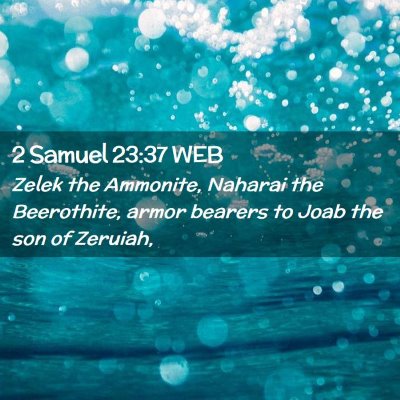 Picture 02 - 2 Samuel 23:37 WEB - Zelek the Ammonite, Naharai the Beerothite, armor - Bible Verse Picture