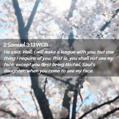Picture 02 - 2 Samuel 3:13 WEB - He said, Well; I will make a league with you; but - Bible Verse Picture